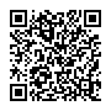 QR code for IE96CJ