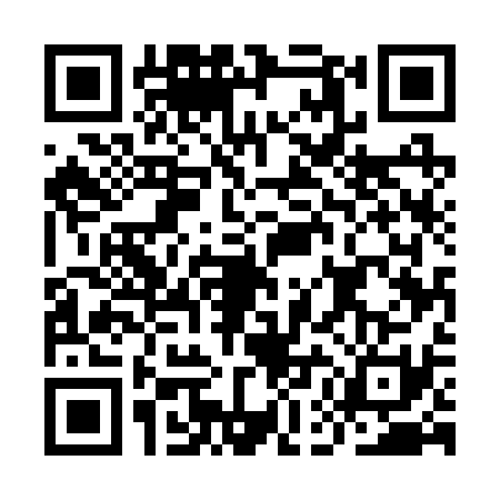 QR code for IEE2311