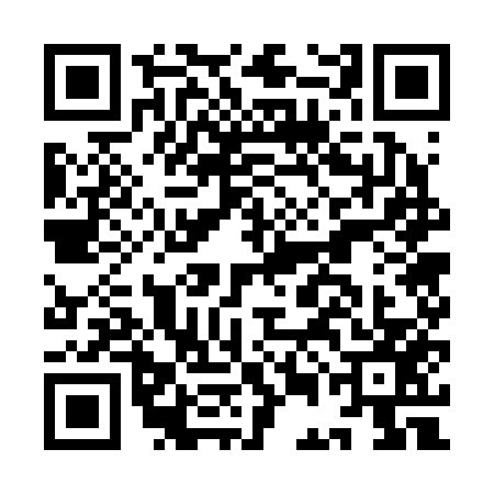 QR code for IEG2575