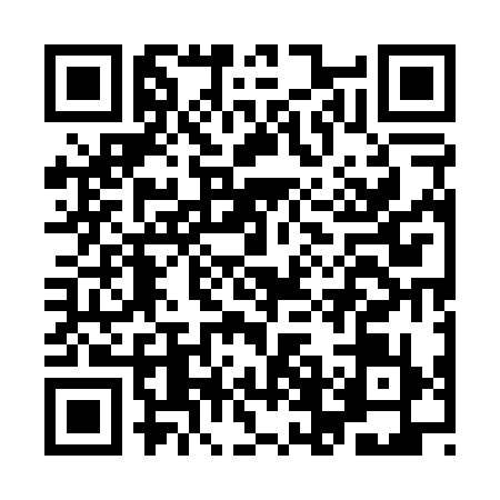 QR code for IFE0397