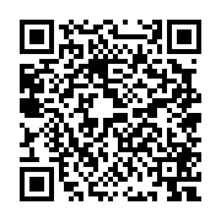 QR code for IFE0493
