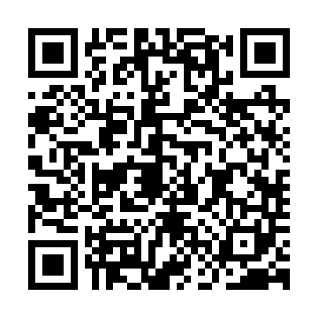 QR code for IFR2411