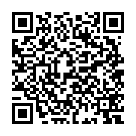QR code for IGB6593