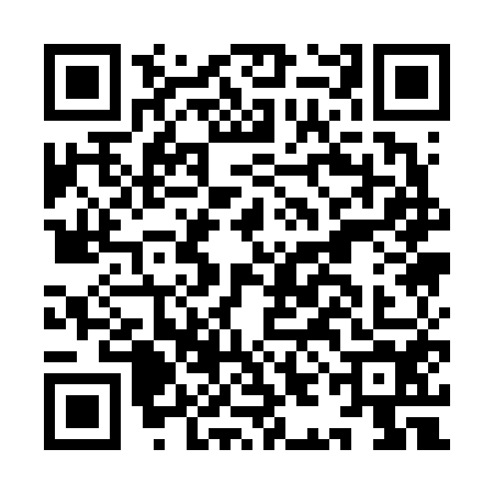 QR code for IIA6541