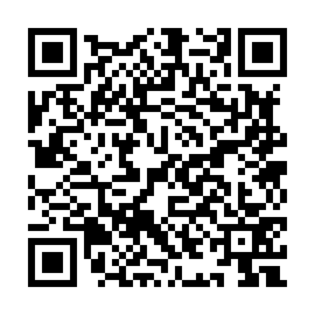 QR code for IIC8737