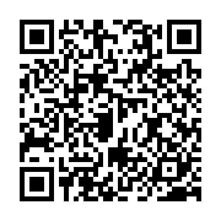 QR code for IIE3209
