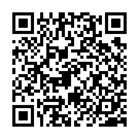 QR code for IIE6016
