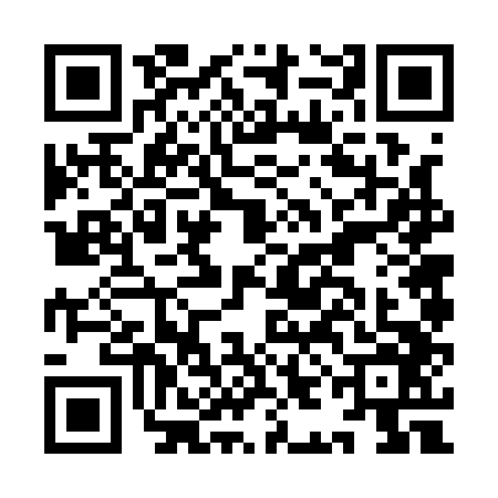 QR code for IIF1461