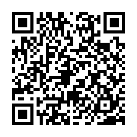 QR code for IIG3347