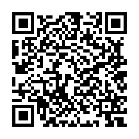 QR code for IIG8256