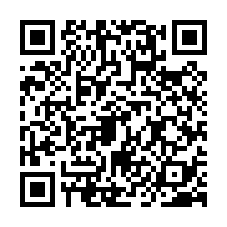QR code for IIM0395