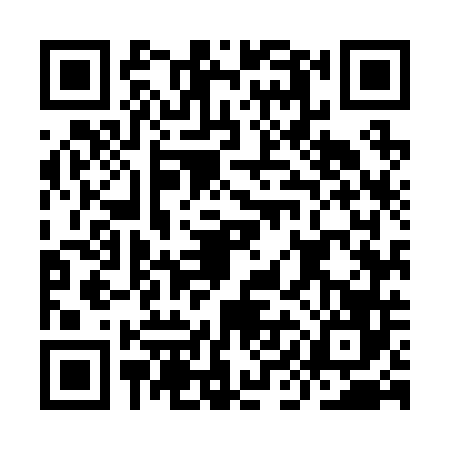 QR code for IIM2466