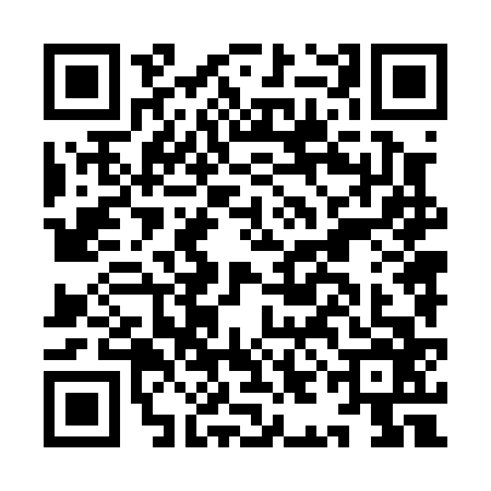 QR code for IIN0665