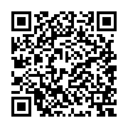 QR code for IIN1013