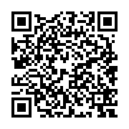 QR code for IIN6290