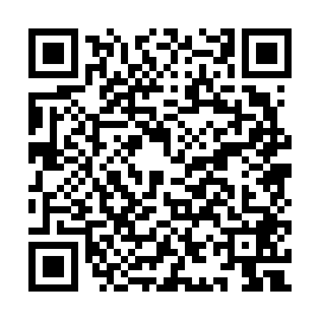 QR code for IIP6483