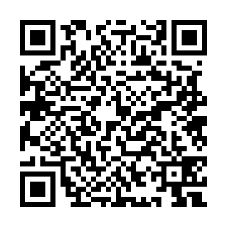 QR code for IIR5394