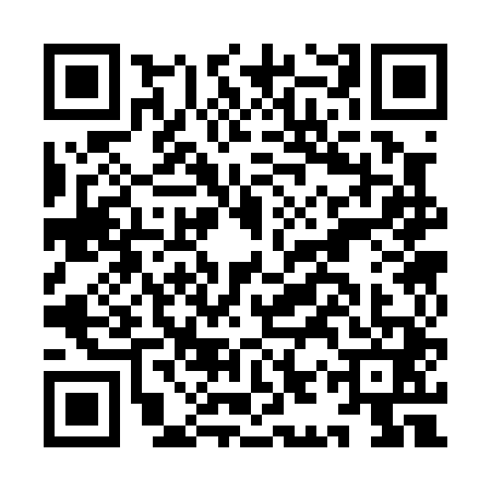QR code for IIS0411
