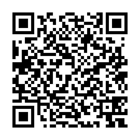 QR code for IIS3384