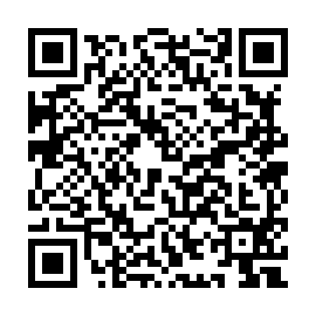 QR code for IIS8943