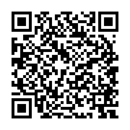 QR code for IIT2496