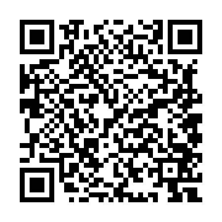 QR code for IIV8431