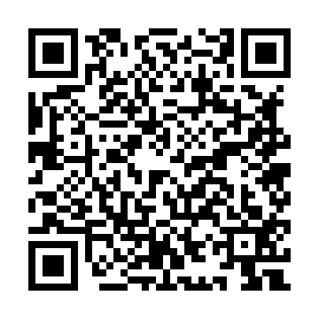 QR code for IIW8138