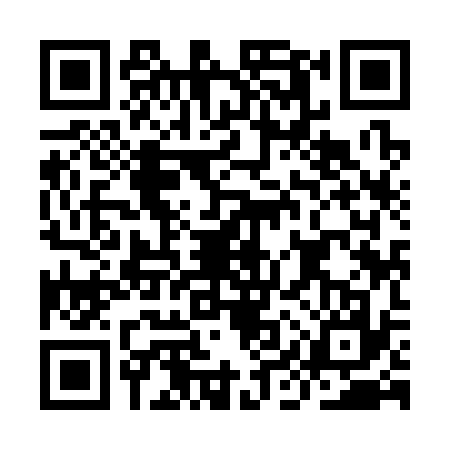 QR code for IIY3370
