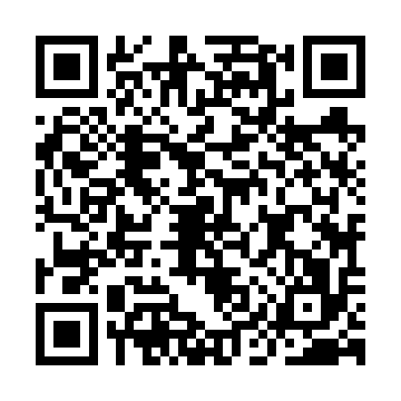 QR code for IIZ6161