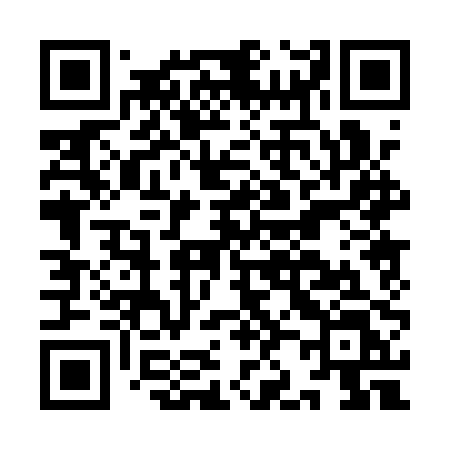 QR code for IJ01PL