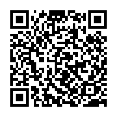 QR code for IJ10AP