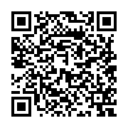 QR code for IJB9153