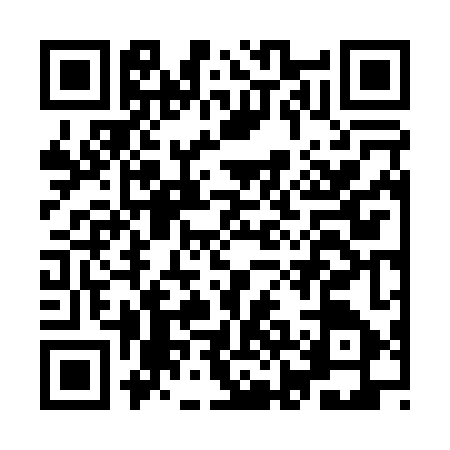 QR code for IJF0479