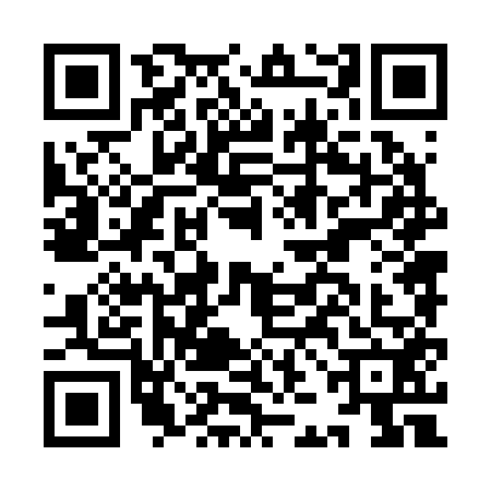 QR code for IJN2529