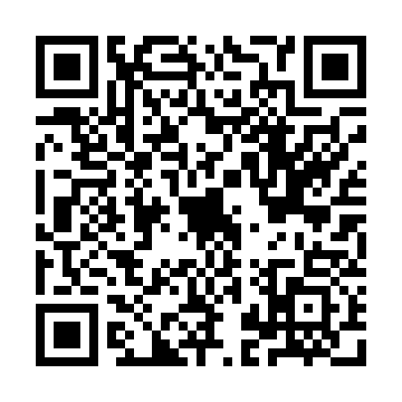 QR code for IJP0333