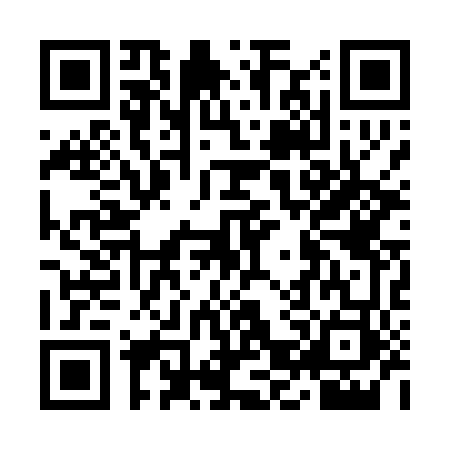 QR code for IJP0438