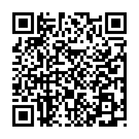 QR code for IJR0387