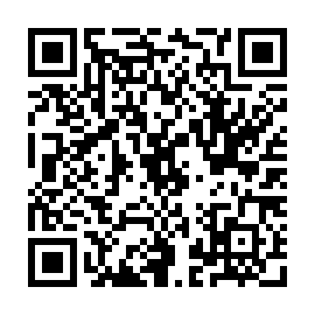 QR code for IJV3808