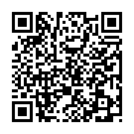 QR code for IJZ0738