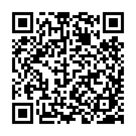 QR code for IL24IC