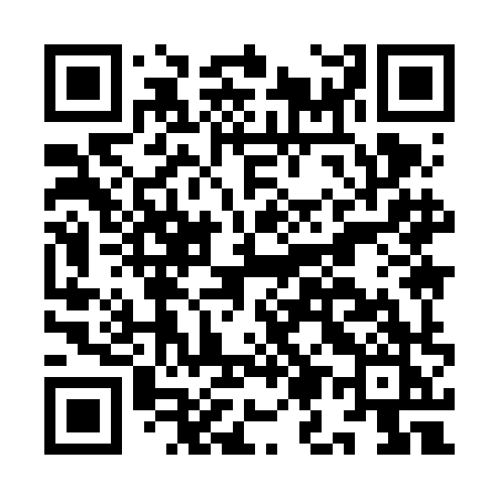 QR code for IM96HK