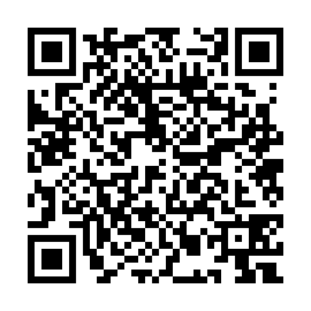 QR code for IMR3384