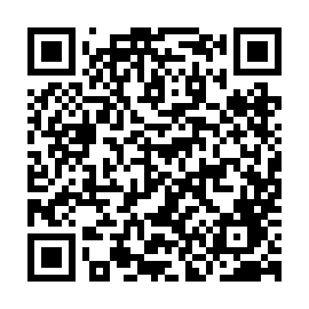 QR code for IN12MF