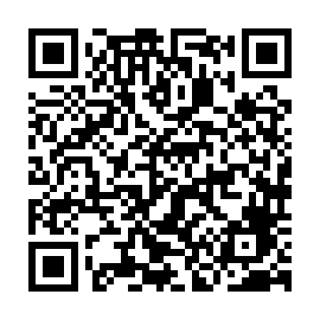 QR code for IN81TF