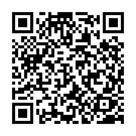 QR code for IN91GZ