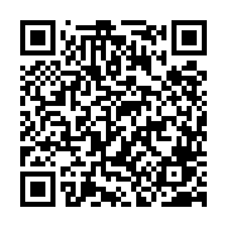 QR code for IN95DV