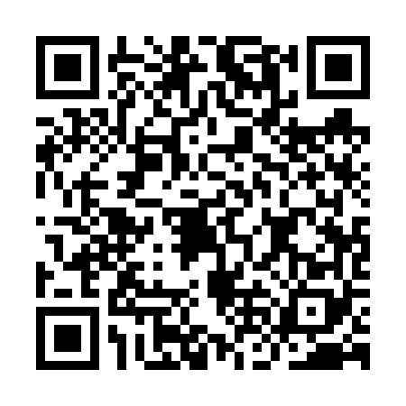 QR code for INA6689