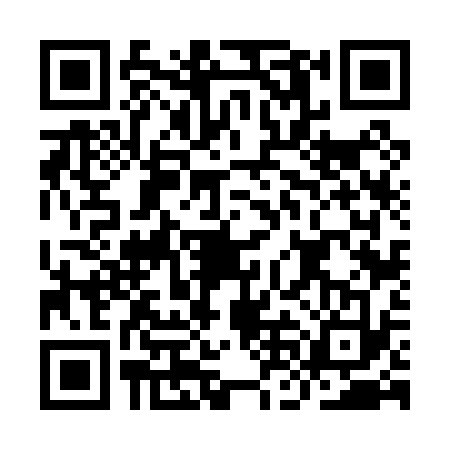 QR code for INF0335