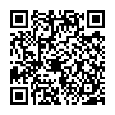 QR code for INI6645