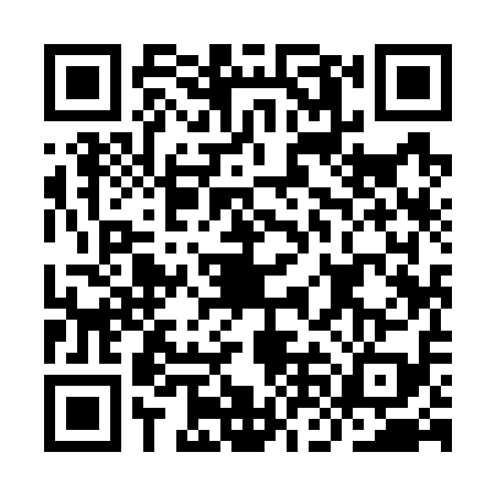 QR code for INI7195